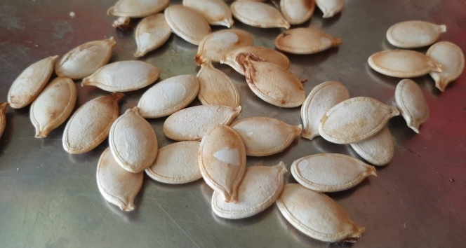 Bu çekirdeğin kilosu 5 bin lira