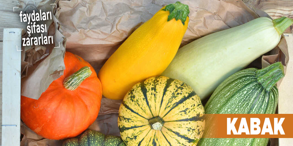 Şifalı bitkilerden Kabak, Kabak nedir?