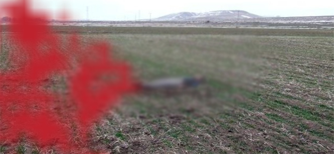 KIZ KARDEŞİNİ TARLADA ÖLDÜRDÜ, KENDİNİ İHBAR ETTİ