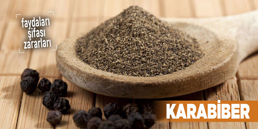 Şifalı bitkilerden Karabiber, Karabiber nedir?