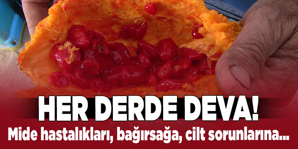 Her derde deva! Mide hastalıkları, bağırsağa, cilt sorunlarına...