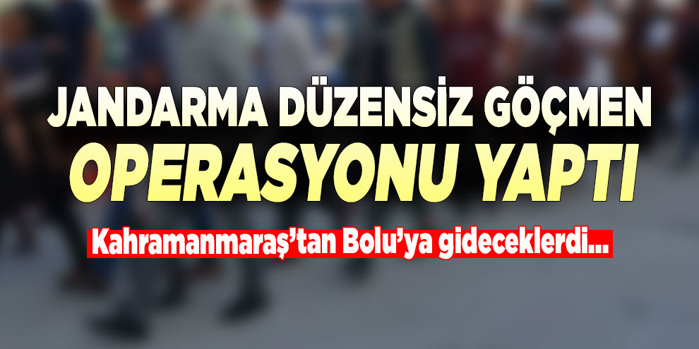 Jandarma düzensiz göçmen operasyonu yaptı