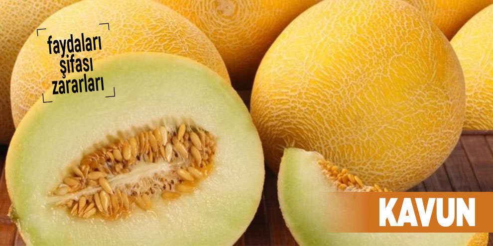 Şifalı bitkilerden Kavun, Kavun nedir?