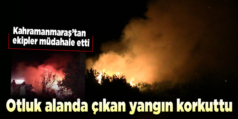 Otluk alanda çıkan yangın korkuttu