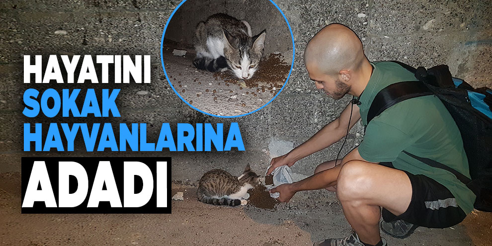 Hayatını sokak hayvanlarına adadı