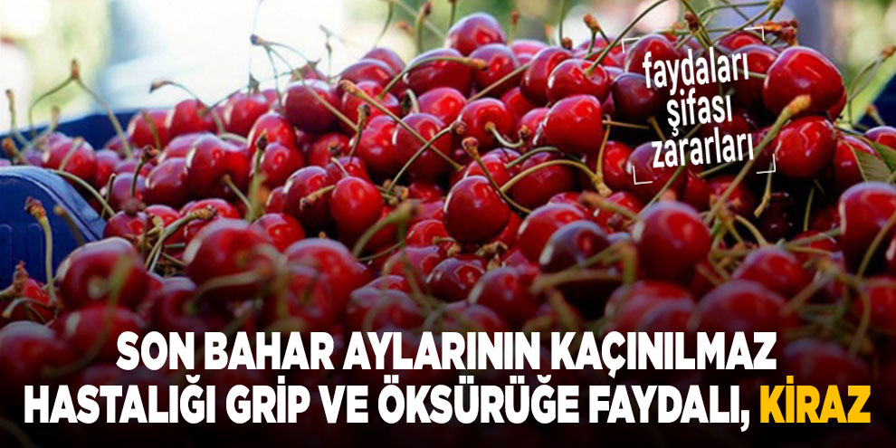 Son bahar aylarının kaçınılmaz hastalığı grip ve öksürüğe faydalı, kiraz