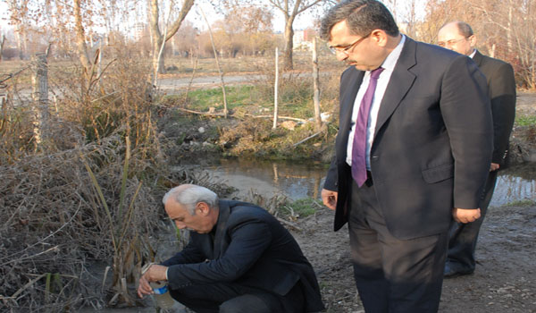 ÇEVRE MÜDÜRLÜĞÜ'DEN, BALIK ÖLÜMLERİYLE İLGİLİ İNCELEME