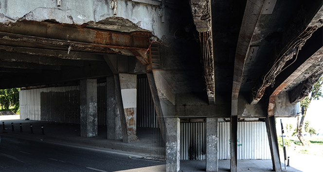 İstanbul'un göbeğinde dehşet saçıyor