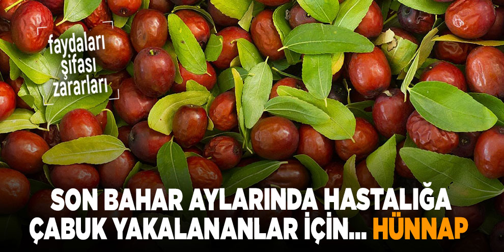 Son Bahar aylarında hastalığa çabuk yakalananlar için... Hünnap