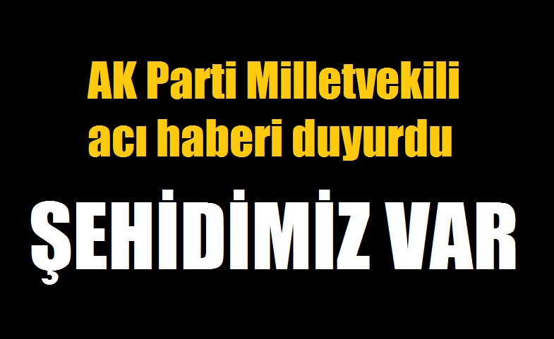 Barış Pınarı Harekatı'ndan acı haber: 1 asker şehit oldu