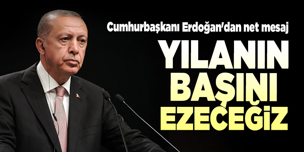 Cumhurbaşkanı Erdoğan'dan net mesaj: Yılanın başını ezeceğiz