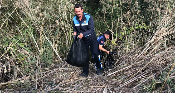 Torba torba eşek eti ele geçirildi