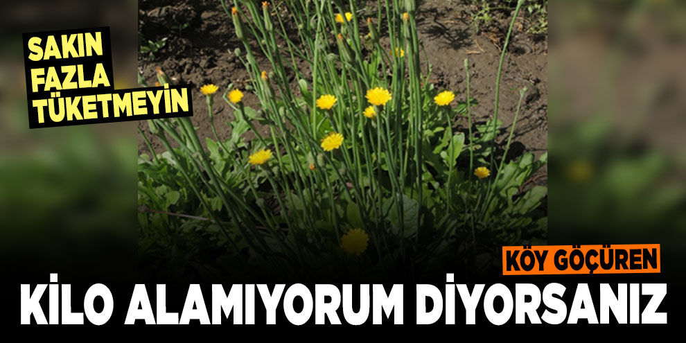 Kilo alamıyorum diyorsanız! Köy Göçüren