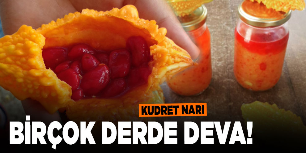 Birçok derde deva! Kudret Narı