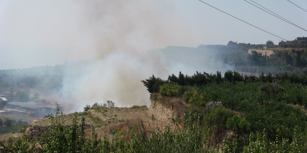 Samandağ'da bitki örtüsü yangını