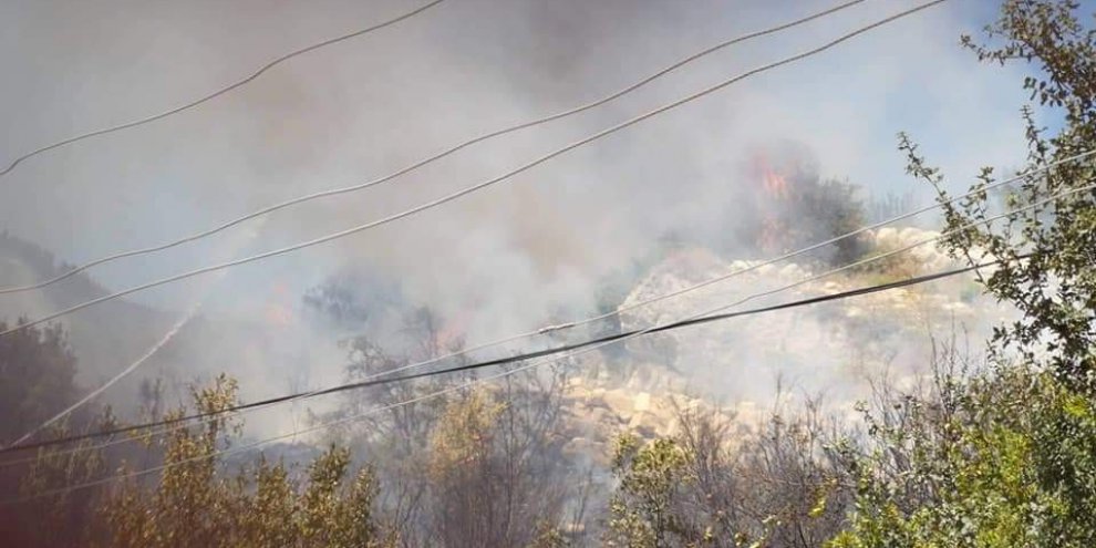 Samandağ’da çıkan yangın kontrol altına alındı