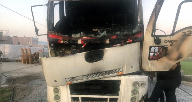 Park halinde yanmaya başladı