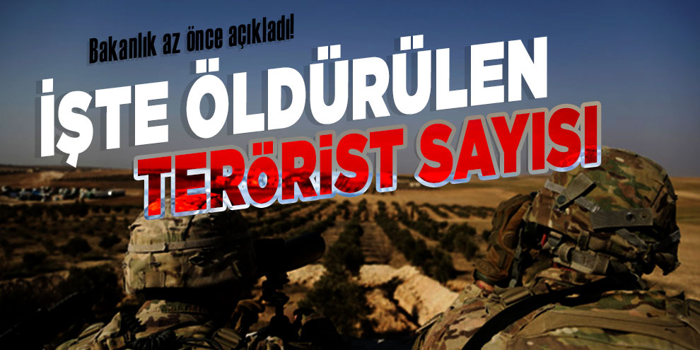 Bakanlık az önce açıkladı! İşte öldürülen terörist sayısı