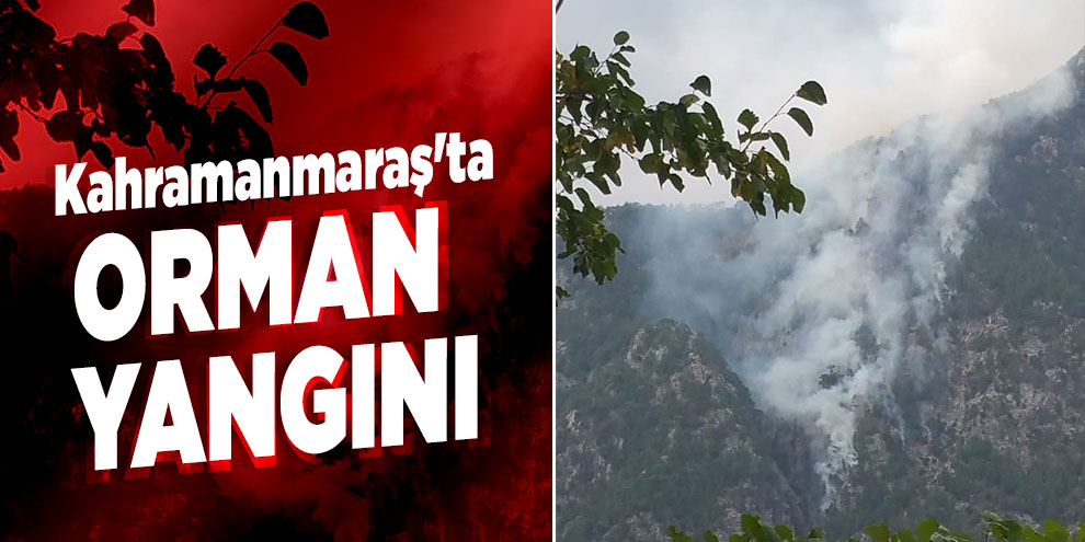Kahramanmaraş'ta orman yangını