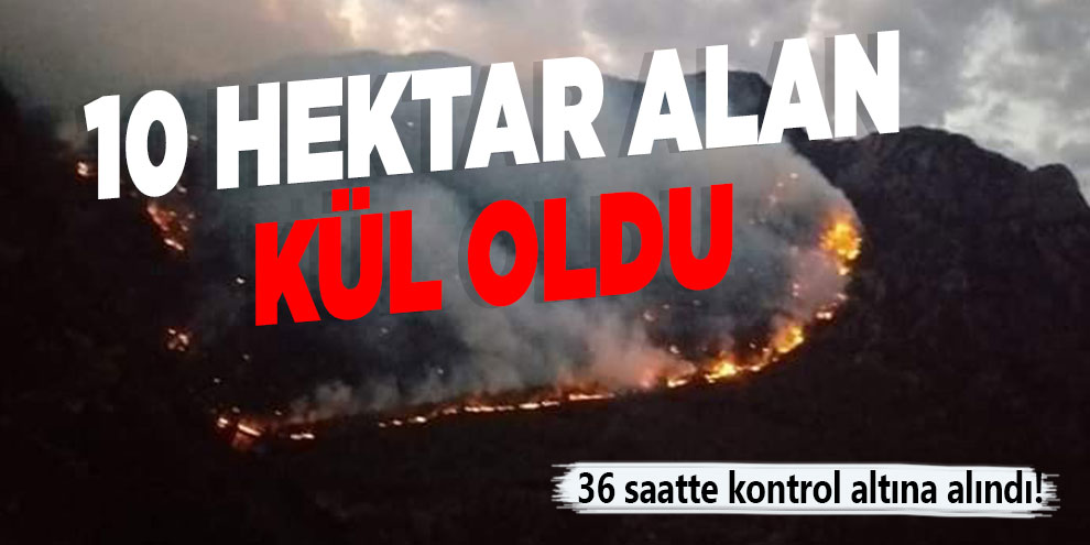 Kahramanmaraş’ta 10 hektar alan kül oldu