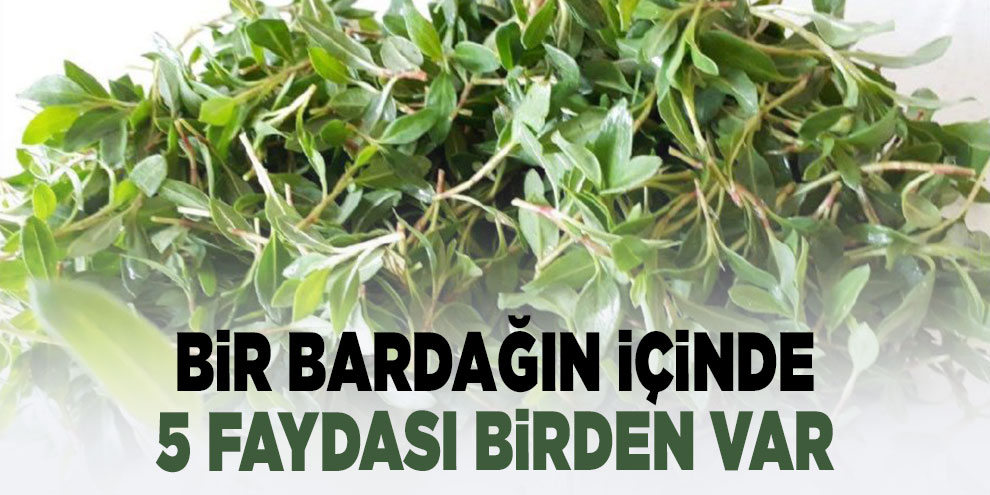 Bir bardağın içinde 5 faydası birden var
