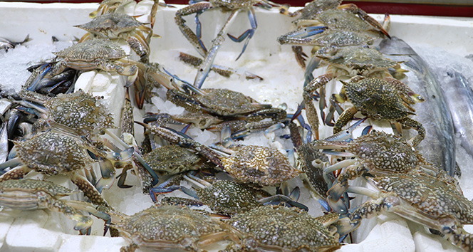 Tanesi 5 liradan satılıyor! Denizi olmayan kentte kapış kapış gidiyor