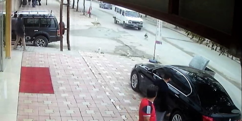 Köpeğe çarpıp kaçtı