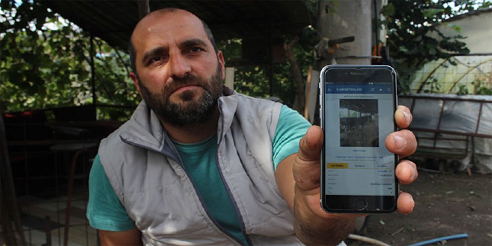 İnternet üzerinden ineklerini satmak isterken dolandırıldılar