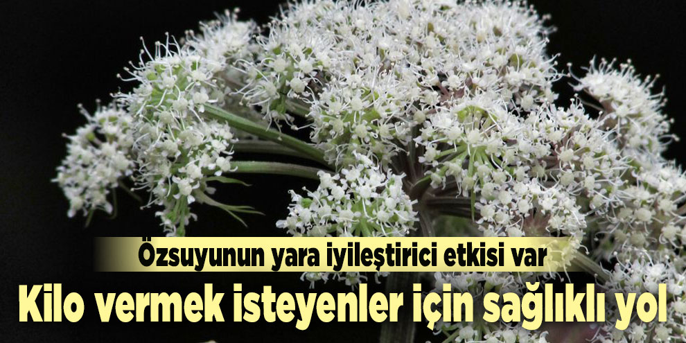 Kilo vermek isteyenler için sağlıklı yol