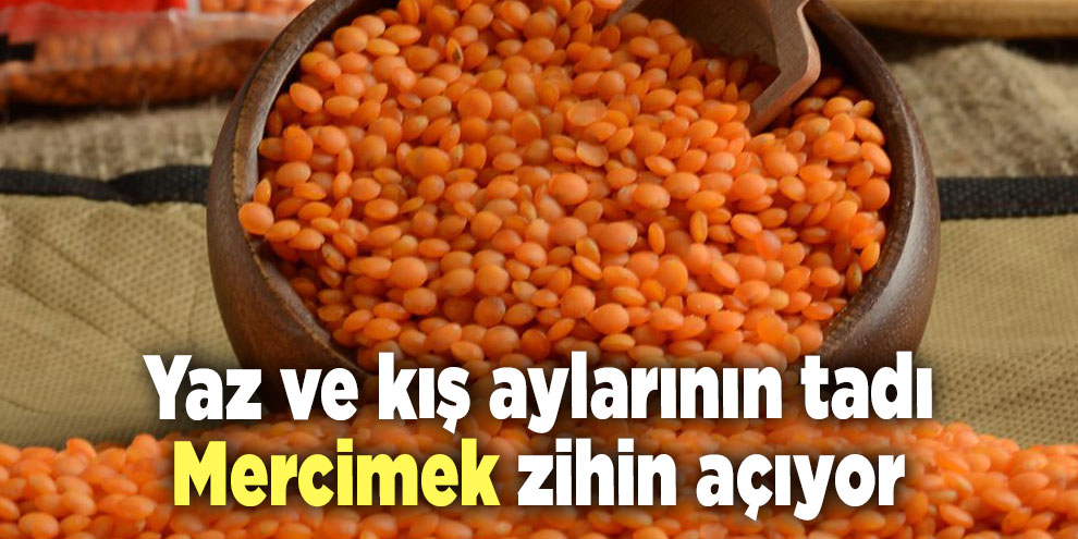 Yaz ve kış aylarının tadı mercimek, Zihin açıyor