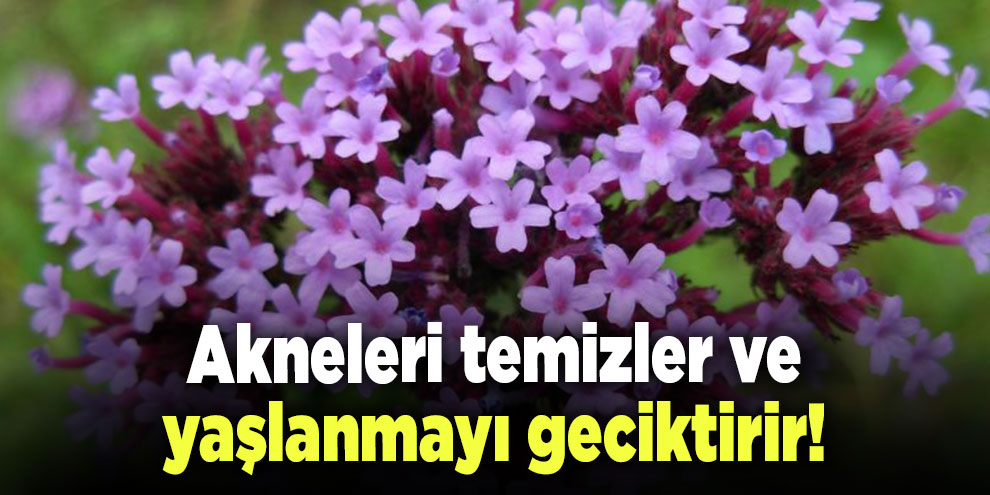 Akneleri temizler ve yaşlanmayı geciktirir!