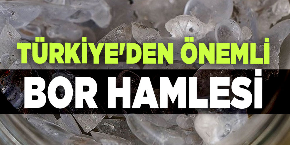 Türkiye'den önemli bor hamlesi
