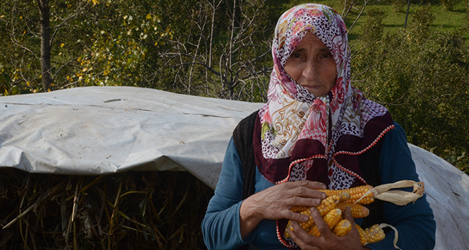 Türkiye'nin bu ilçesinde insanlar uzun yaşıyor