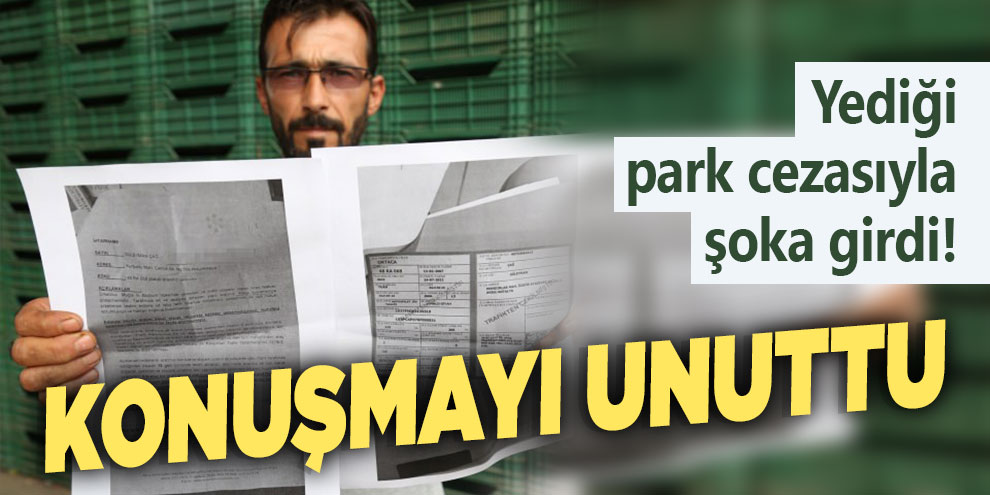 Yediği park cezasıyla şoke girdi! Konuşmayı unuttu