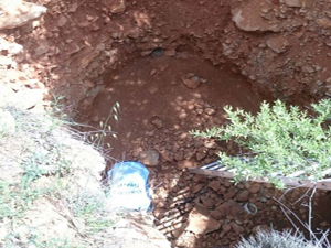 YARAMAZ KAPLUMBAĞAYI KUYUDAN ÇIKARDILAR