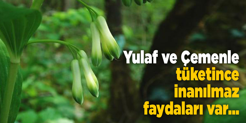 Yulaf ve Çemenle tüketince inanılmaz faydaları var...