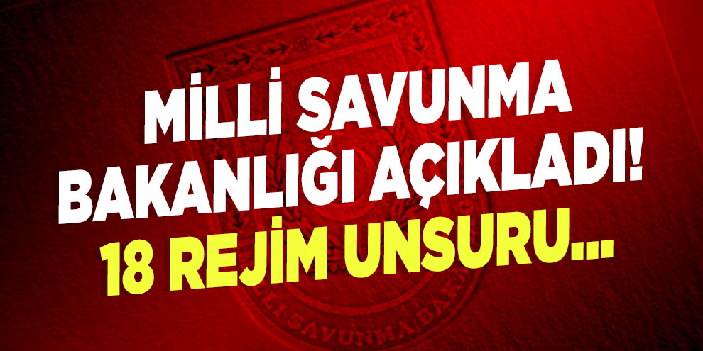 Milli Savunma Bakanlığı açıkladı! 18 Rejim unsuru...