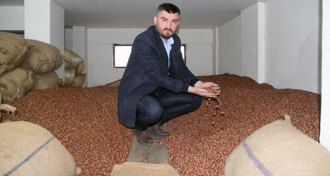 Fındık fiyatı 20 liraya koşuyor