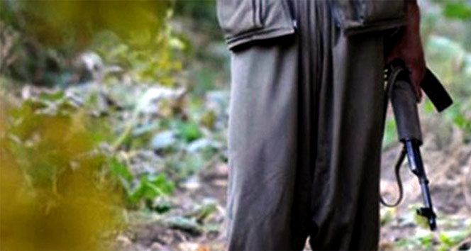 Resulayn kırsalında PYD/YPG'li 10 terörist yakalandı