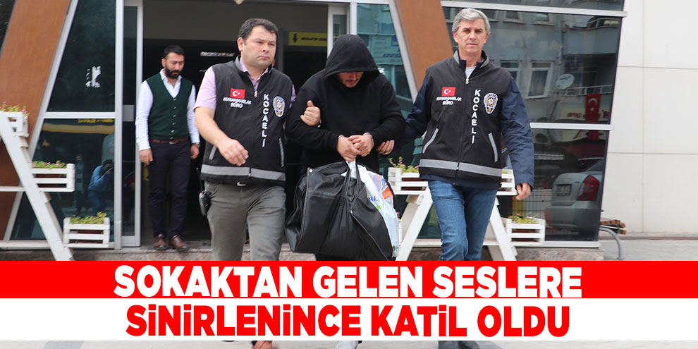 Sokaktan gelen seslere sinirlenince katil oldu