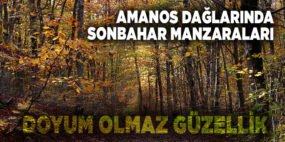 Amanos Dağlarında sonbahar manzaraları