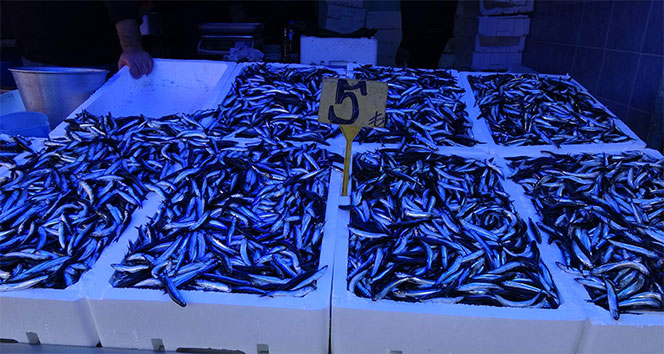 Hamsi fiyatıyla yüzleri güldürmeye devam ediyor