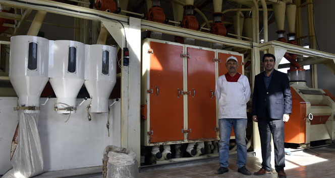 Türkiye'nin ilk karabuğday un ve bulgur tesisi