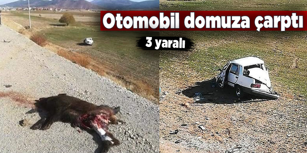 Otomobil domuza çarptı: 3 yaralı