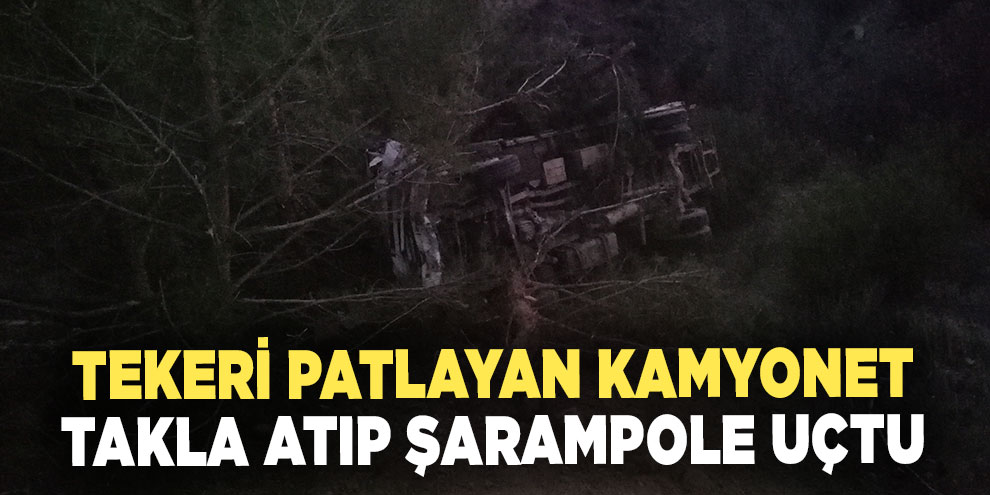 Tekeri patlayan kamyonet takla atıp şarampole uçtu