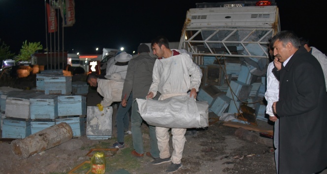 Arı kovanı yüklü kamyonet kaza yaptı, arıcılar yardım için seferber oldu