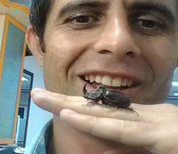 DÜNYADA NADİR GÖRÜLEN GERGEDAN BÖCEĞİ BULUNDU