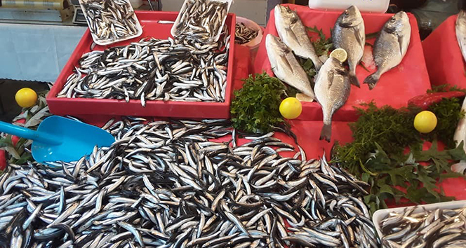 Havalar soğudu hamsi fiyatları tavan yaptı