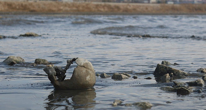 Van Gölü'nde tüyler ürperten olay