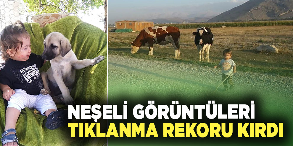 Minik hayvanseverin neşeli görüntüleri tıklanma rekoru kırdı